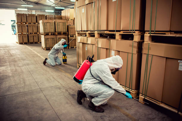 Best Wasp Removal Services  in Ller, WA