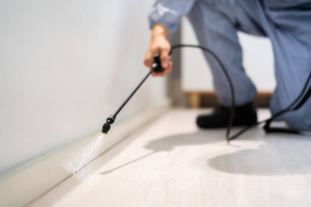 Best Pest Removal Services  in Ller, WA