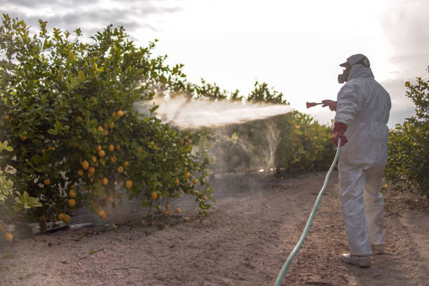 Best Best Pest Control Companies  in Ller, WA
