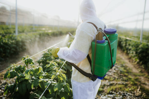 Best Wildlife Control Services  in Ller, WA